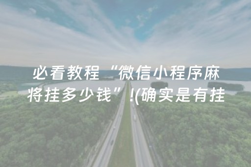 实测结果“微信小程序广东雀神辅助器免费（专用辅牌神器免安装）