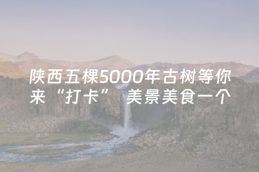 实测分享“微乐四川麻将到底有没有挂（助赢神器通用版）