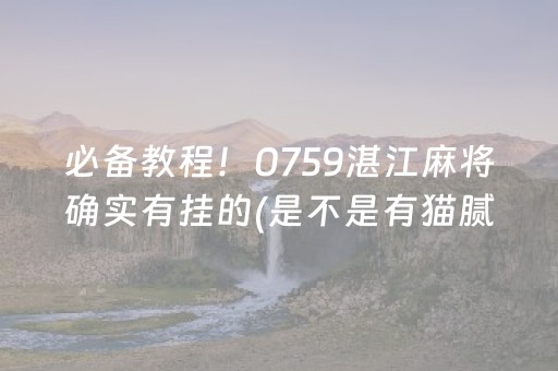 必备教程！0759湛江麻将确实有挂的(是不是有猫腻)