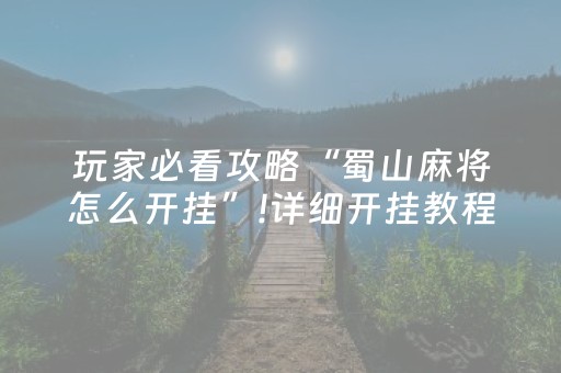 实测教程“微信微乐麻将挂件神器（专用辅牌神器免安装）
