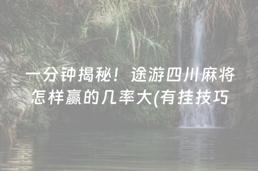 必看教程！“微乐河北麻将容易胡牌的技巧”（详细辅助教程）-哔哩哔哩