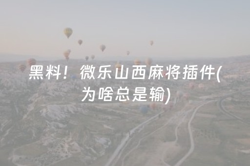 分享辅助“白金岛三打哈辅助工具”（详细透视教程）-哔哩哔哩