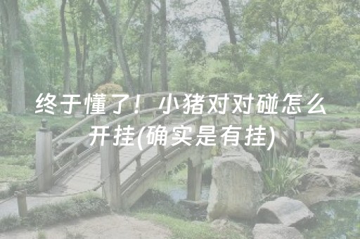 实测教程“最新普通麻将机控牌器（助赢神器通用版）