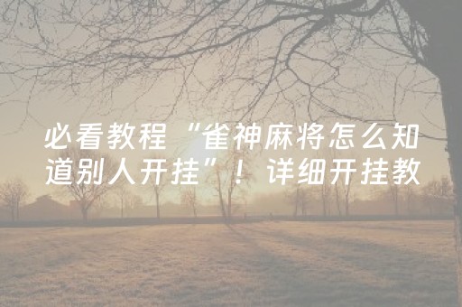 必看教程“雀神麻将怎么知道别人开挂”！详细开挂教程（确实真的有挂)-抖音