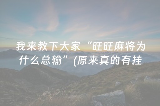 玩家实测“微乐浙江麻将怎么让系统发好牌（专用辅牌神器免安装）