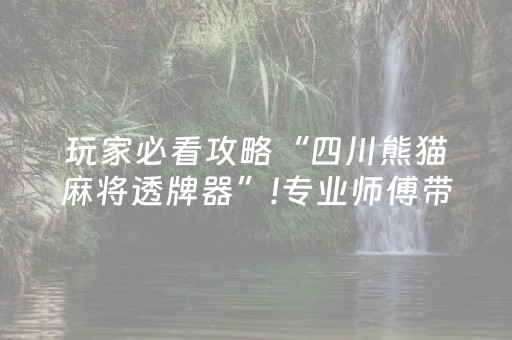 玩家必看攻略“四川熊猫麻将透牌器”!专业师傅带你一起了解（详细教程）-抖音