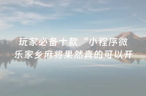 玩家必备十款“小程序微乐家乡麻将果然真的可以开挂”(原来真的有挂)-抖音