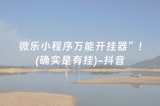 分享辅助“手机微乐麻将免安装控牌器（助赢神器通用版）