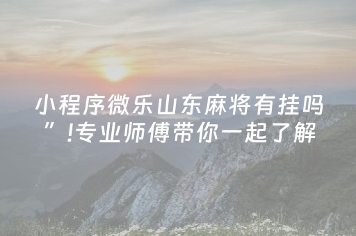 小程序微乐山东麻将有挂吗”!专业师傅带你一起了解（详细教程）-抖音