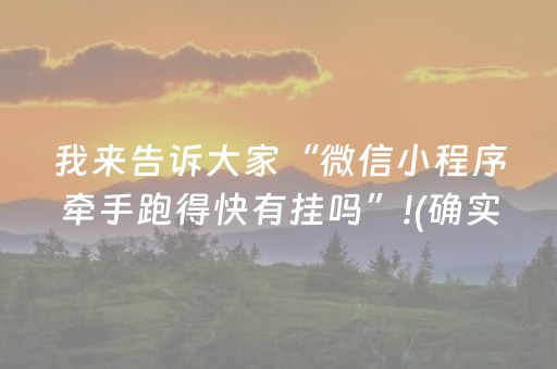 实测辅助“微乐辽宁麻将辅牌器（专用辅牌神器免安装）
