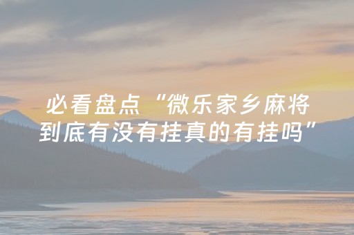 必看盘点“微乐家乡麻将到底有没有挂真的有挂吗”！详细开挂教程（确实真的有挂)-抖音