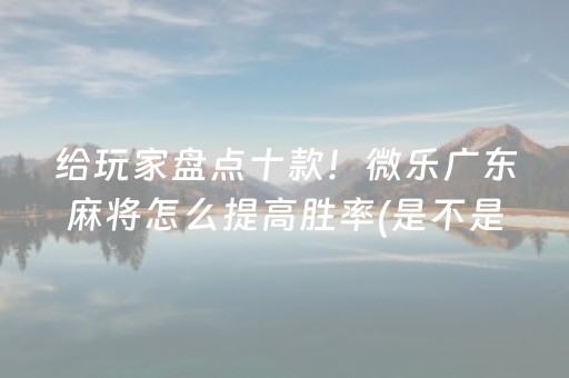 给玩家盘点十款！微乐广东麻将怎么提高胜率(是不是有猫腻)