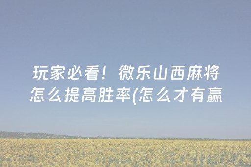 我来教大家“手机十三张数据刷分（专用辅牌神器免安装）