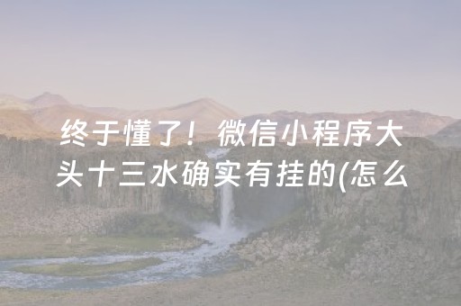 今日实测“微乐麻将专用挂”（详细辅助教程）-哔哩哔哩