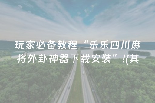实测辅助“微信微乐麻将挂件神器（助赢神器通用版）