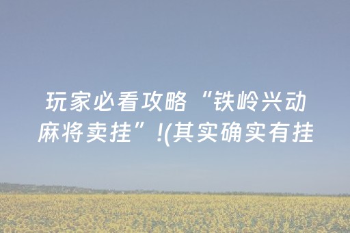 玩家必看攻略“铁岭兴动麻将卖挂”!(其实确实有挂)-抖音