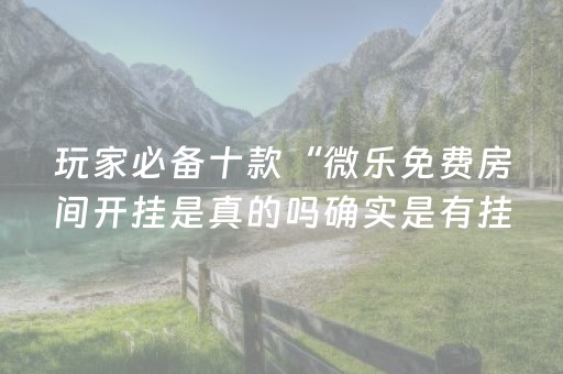 玩家必备十款“微乐免费房间开挂是真的吗确实是有挂”(原来真的有挂)-抖音