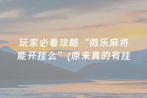 玩家必看攻略“微乐麻将能开挂么”(原来真的有挂)-抖音