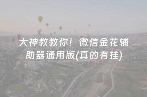 终于发现了“微乐麻将神器通用版（专用辅牌神器免安装）