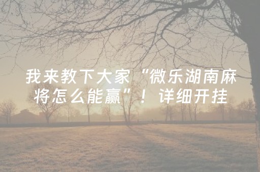 终于发现“微乐吉林麻将助赢神器”（详细透视教程）-哔哩哔哩
