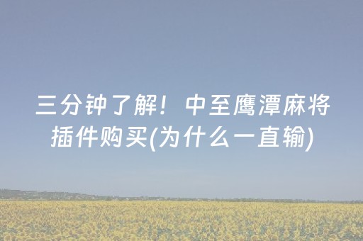 三分钟了解！中至鹰潭麻将插件购买(为什么一直输)