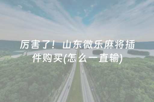 厉害了！山东微乐麻将插件购买(怎么一直输)