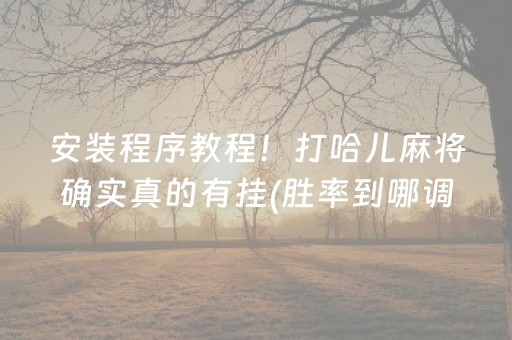 安装程序教程！打哈儿麻将确实真的有挂(胜率到哪调)
