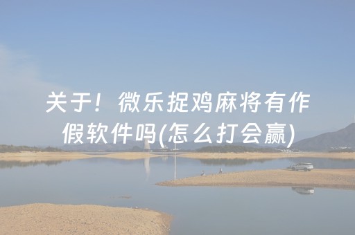 实测分析“功夫川麻辅助器v3.5.4”（详细透视教程）-哔哩哔哩