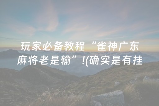 终于发现了“大头十三水辅助软件出售”（详细透视教程）-哔哩哔哩