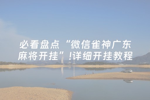 必看盘点“微信雀神广东麻将开挂”!详细开挂教程-抖音