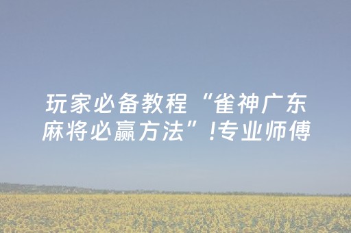 我来教大家“决胜手机麻将软挂神器（专用辅牌神器免安装）