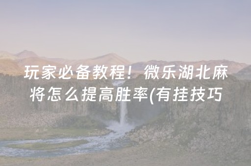 玩家必备教程！微乐湖北麻将怎么提高胜率(有挂技巧辅助器)
