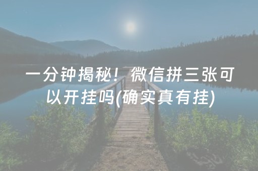 终于发现了“微乐湖南麻将助赢神器可试用”（详细透视教程）-哔哩哔哩