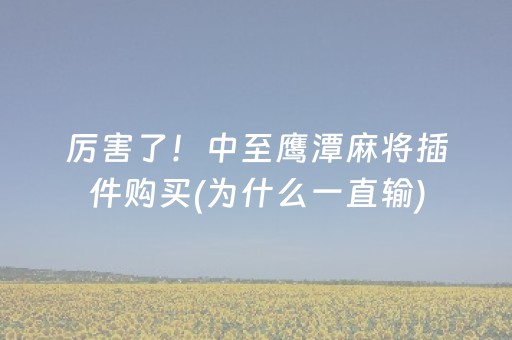 3分钟学会“中至棋牌胜率控制（专用辅牌神器免安装）