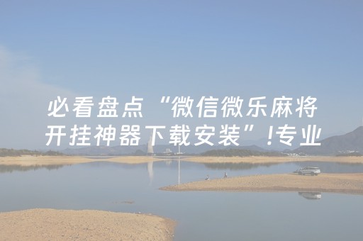 必看盘点“微信微乐麻将开挂神器下载安装”!专业师傅带你一起了解（详细教程）-抖音