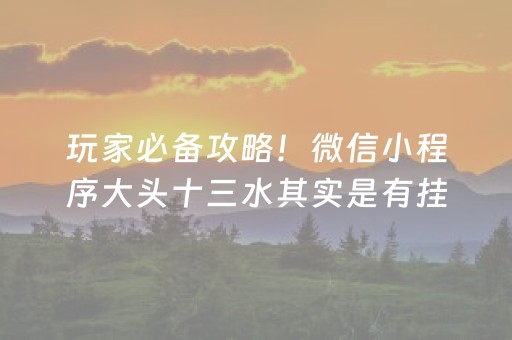 玩家必备攻略！微信小程序大头十三水其实是有挂的(为啥我总是输)