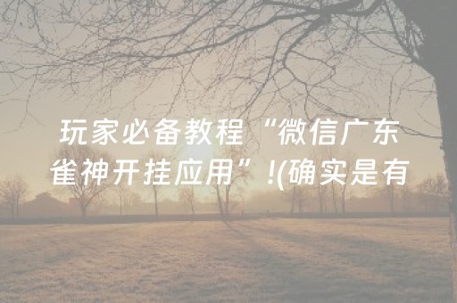 玩家必备教程“微信广东雀神开挂应用”!(确实是有挂)-抖音