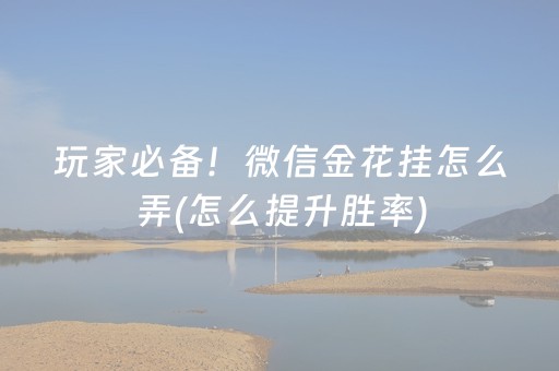 玩家必备！微信金花挂怎么弄(怎么提升胜率)