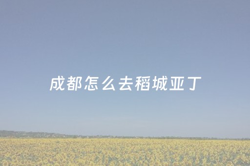 成都怎么去稻城亚丁（成都怎么去稻城亚丁有火车吗）