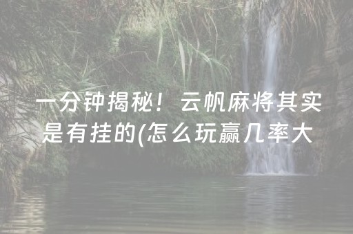 胜率设置方法“微信里打麻将助赢神器（专用辅牌神器免安装）