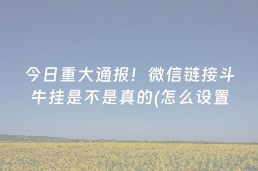 玩家实测“吉祥麻将填大坑插件（助赢神器通用版）
