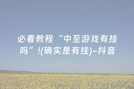 必看教程“中至游戏有挂吗”!(确实是有挂)-抖音