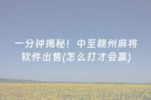 一分钟揭秘！中至赣州麻将软件出售(怎么打才会赢)