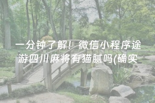 一分钟了解！微信小程序途游四川麻将有猫腻吗(确实真的有挂)