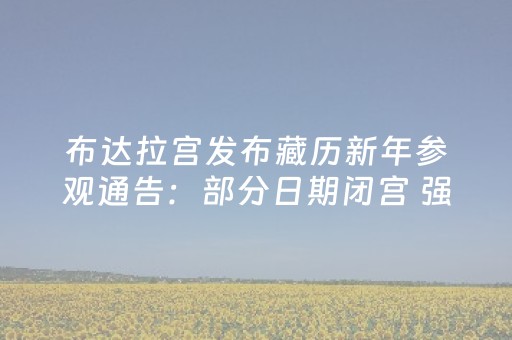 布达拉宫发布藏历新年参观通告：部分日期闭宫 强调预约与秩序