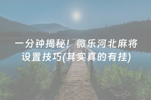 分享辅助“胡乐白银麻将胡牌神器（专用辅牌神器免安装）