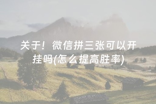 玩家实测“微乐甘肃麻将助赢神器购买（助赢神器通用版）
