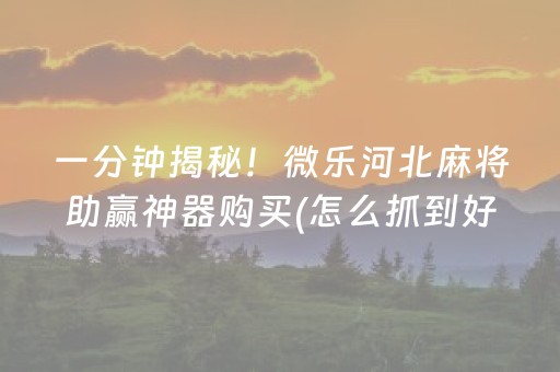 实测结果“程序麻将机最简单的识别方法”（详细透视教程）-哔哩哔哩