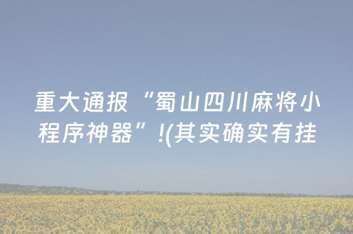重大通报“蜀山四川麻将小程序神器”!(其实确实有挂)-抖音