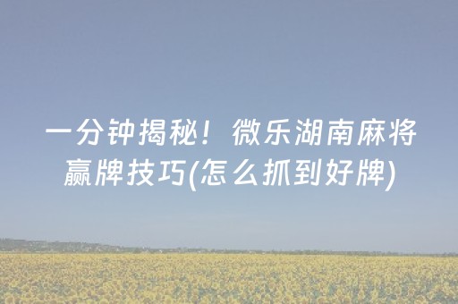 一分钟揭秘！微乐湖南麻将赢牌技巧(怎么抓到好牌)